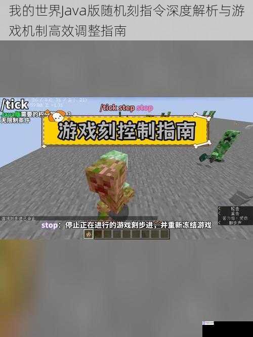 我的世界Java版随机刻指令深度解析与游戏机制高效调整指南