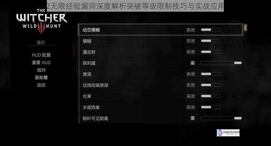 巫师2无限经验漏洞深度解析突破等级限制技巧与实战应用指南