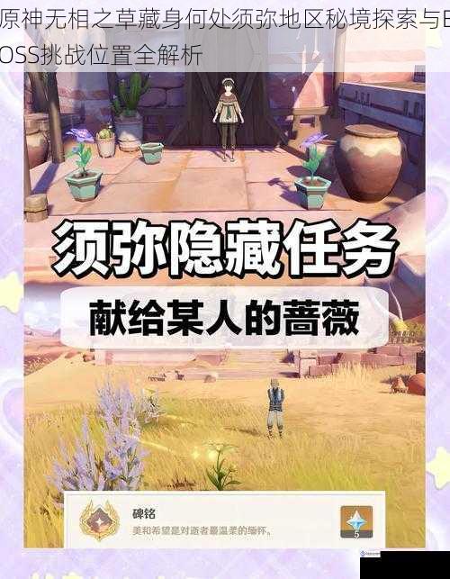 原神无相之草藏身何处须弥地区秘境探索与BOSS挑战位置全解析