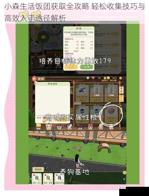 小森生活饭团获取全攻略 轻松收集技巧与高效入手途径解析