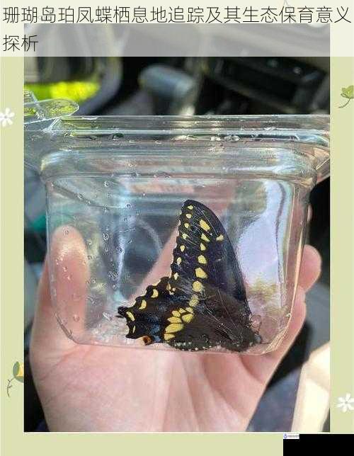 珊瑚岛珀凤蝶栖息地追踪及其生态保育意义探析
