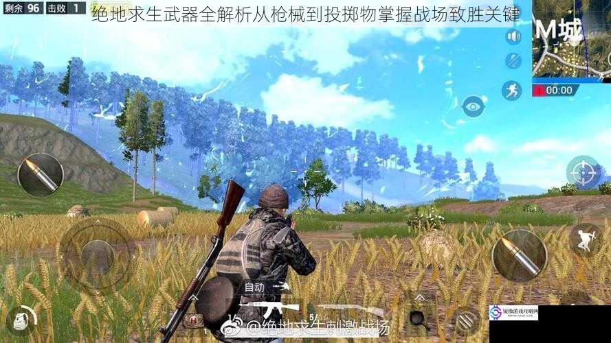 绝地求生武器全解析从枪械到投掷物掌握战场致胜关键