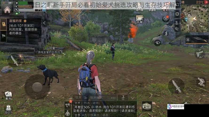 明日之后新手开局必看初始爱犬挑选攻略与生存技巧解析