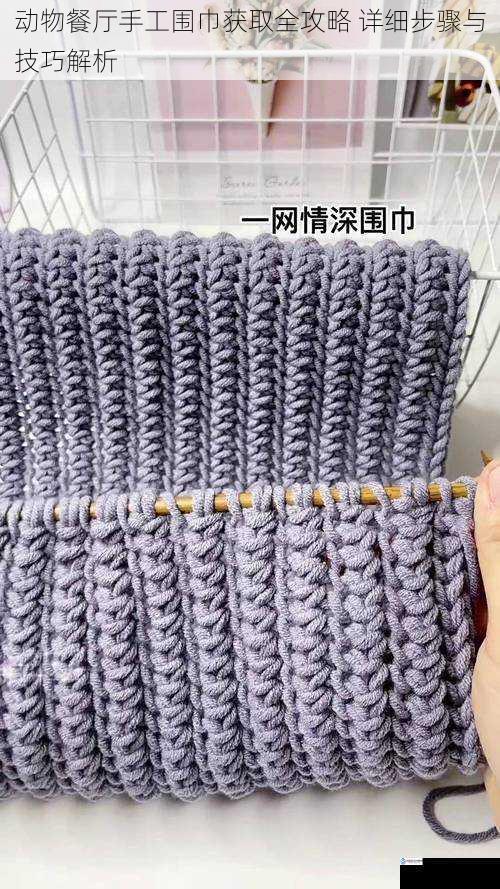 动物餐厅手工围巾获取全攻略 详细步骤与技巧解析
