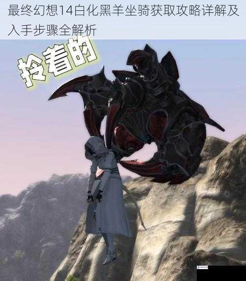 最终幻想14白化黑羊坐骑获取攻略详解及入手步骤全解析