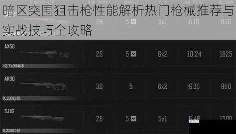 暗区突围狙击枪性能解析热门枪械推荐与实战技巧全攻略