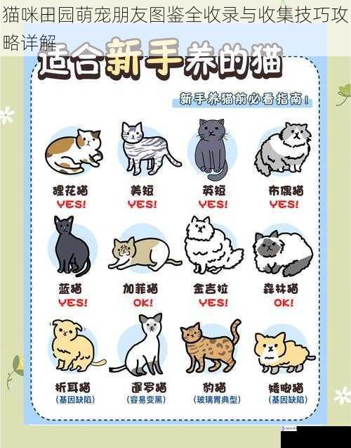 猫咪田园萌宠朋友图鉴全收录与收集技巧攻略详解