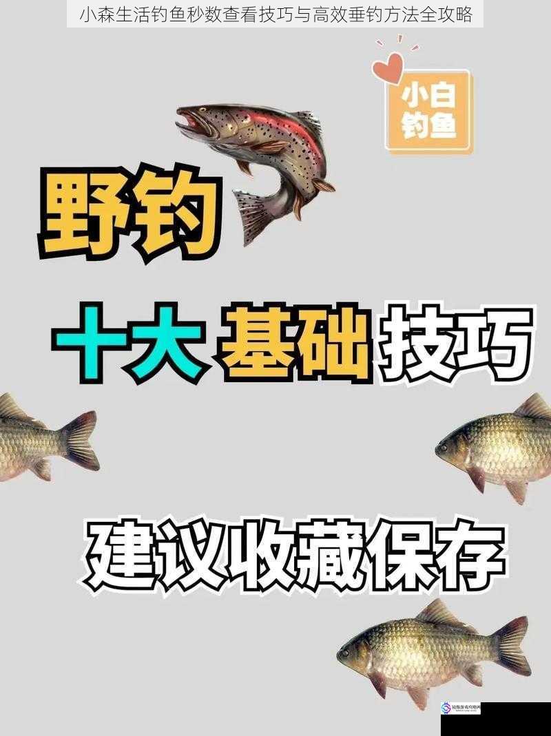 小森生活钓鱼秒数查看技巧与高效垂钓方法全攻略