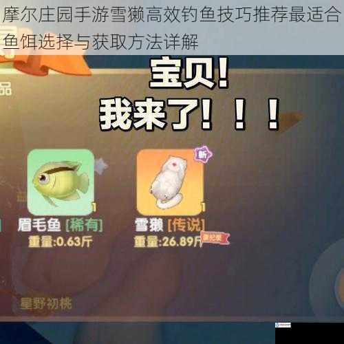 摩尔庄园手游雪獭高效钓鱼技巧推荐最适合鱼饵选择与获取方法详解