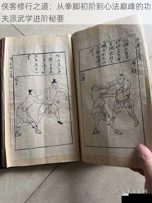 侠客修行之道：从拳脚初阶到心法巅峰的功夫派武学进阶秘要
