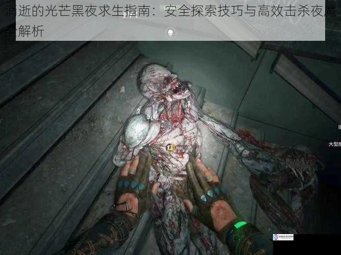 消逝的光芒黑夜求生指南：安全探索技巧与高效击杀夜魔全解析