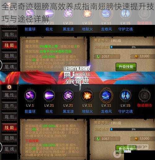 全民奇迹翅膀高效养成指南翅膀快速提升技巧与途径详解