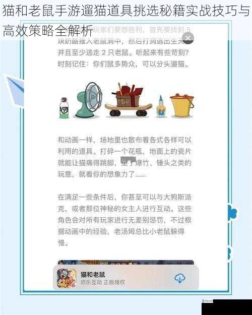 猫和老鼠手游遛猫道具挑选秘籍实战技巧与高效策略全解析