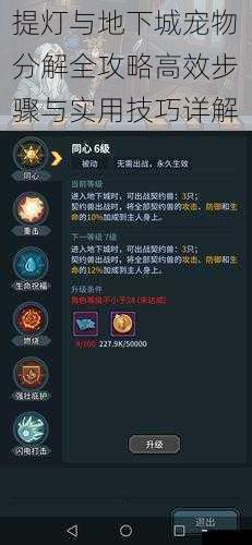 提灯与地下城宠物分解全攻略高效步骤与实用技巧详解