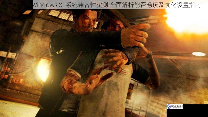 热血无赖Windows XP系统兼容性实测 全面解析能否畅玩及优化设置指南