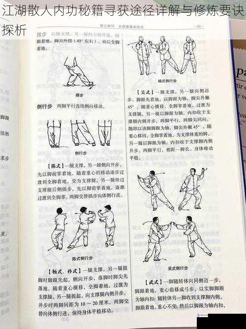 江湖散人内功秘籍寻获途径详解与修炼要诀探析