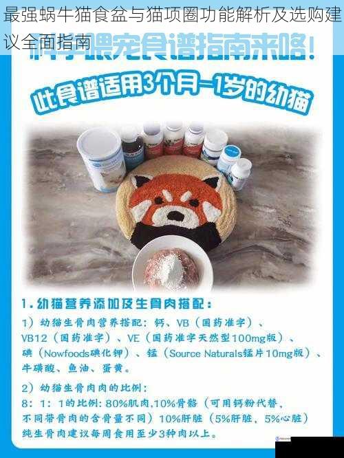 最强蜗牛猫食盆与猫项圈功能解析及选购建议全面指南