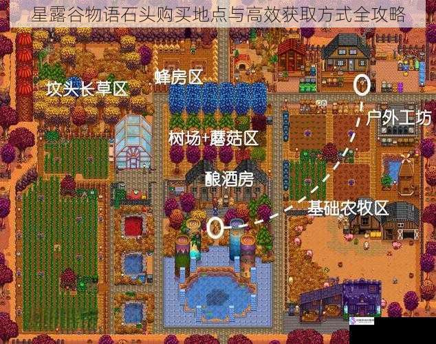 星露谷物语石头购买地点与高效获取方式全攻略