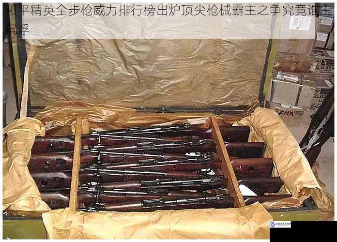 和平精英全步枪威力排行榜出炉顶尖枪械霸主之争究竟谁主沉浮