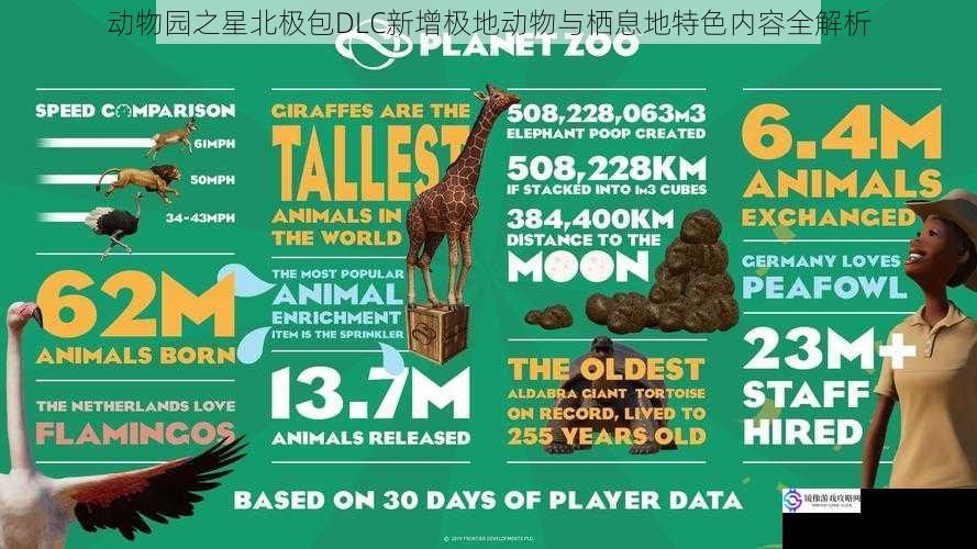 动物园之星北极包DLC新增极地动物与栖息地特色内容全解析